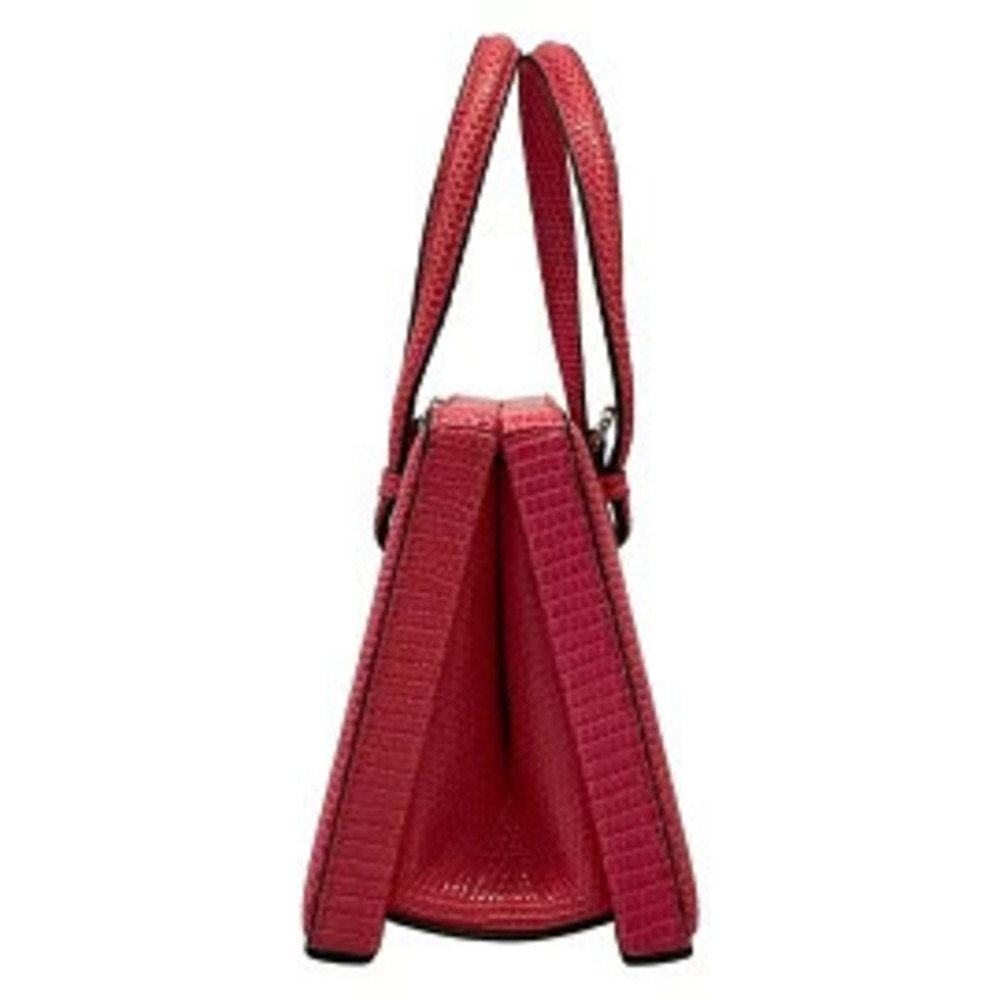 Loewe Handbag coin pink